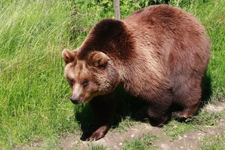 Tierpark Hirschfeld